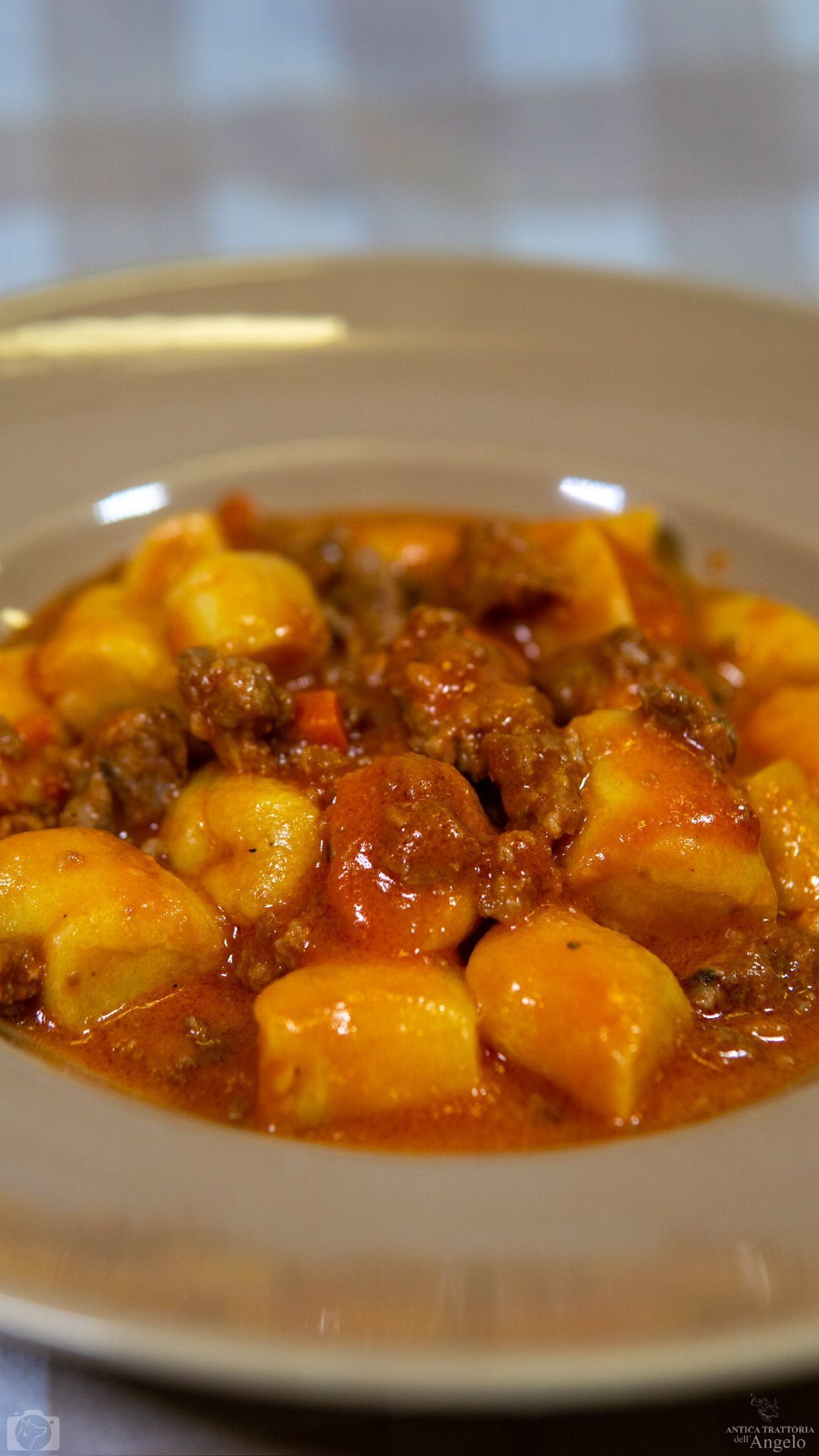 Gnocchi e ragù in una ciotola grigia, primo piano. Pasta chiara e ragù scuro, apparecchiata.