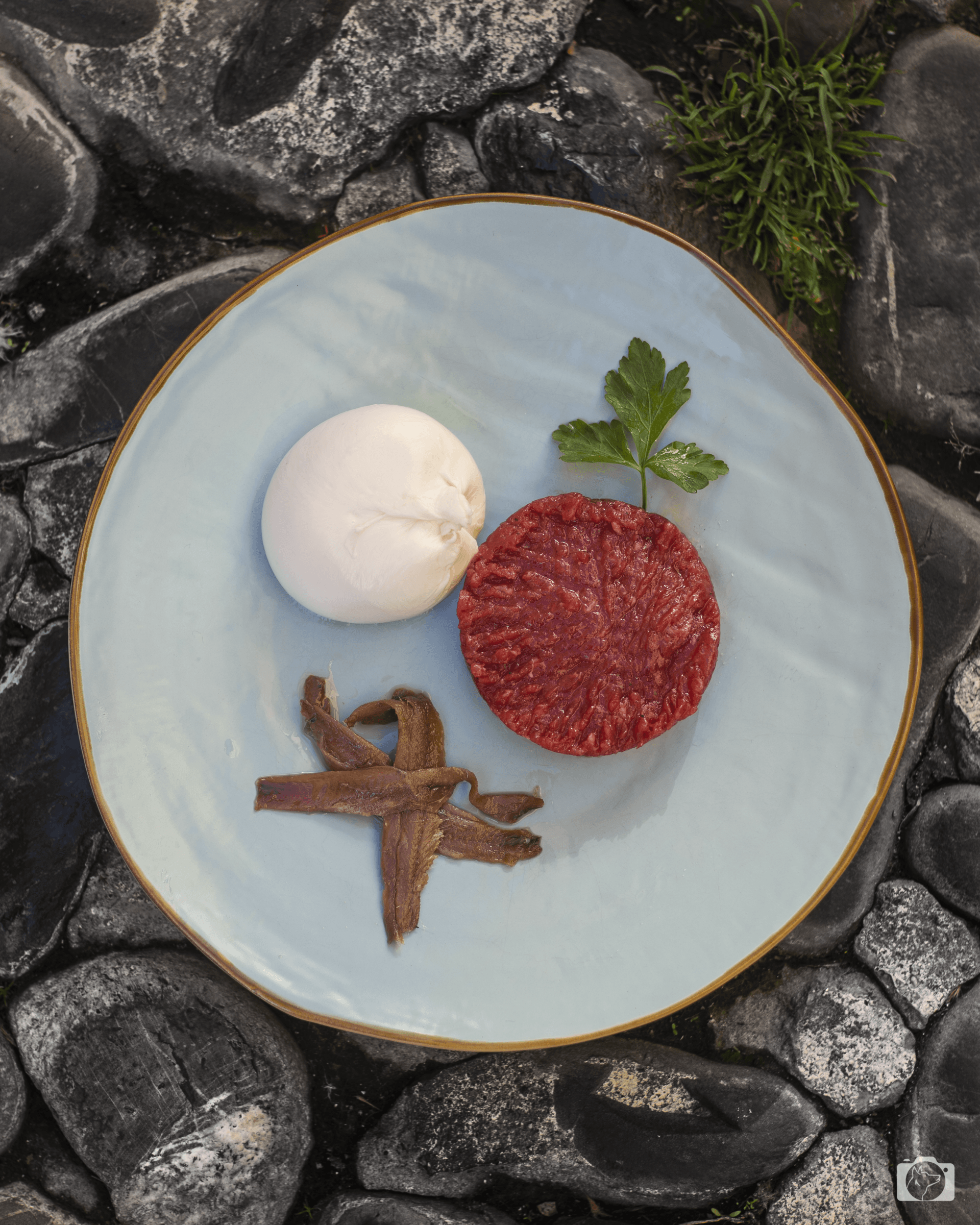 Un piatto azzurro su ghiaccio, con carne cruda, una polpetta bianca, funghi secchi e prezzemolo.