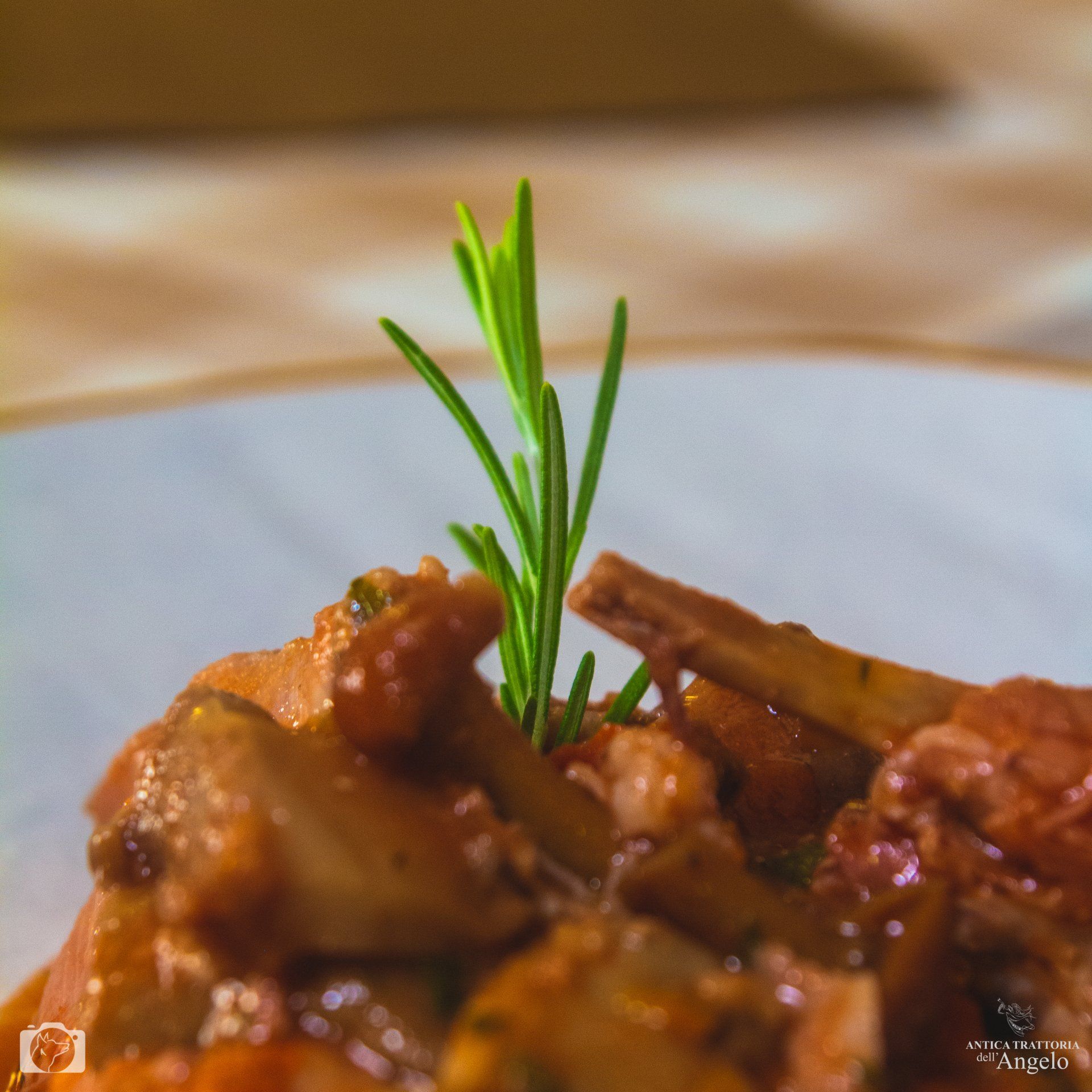 Funghi stufati guarniti con rosmarino fresco su un piatto bianco.
