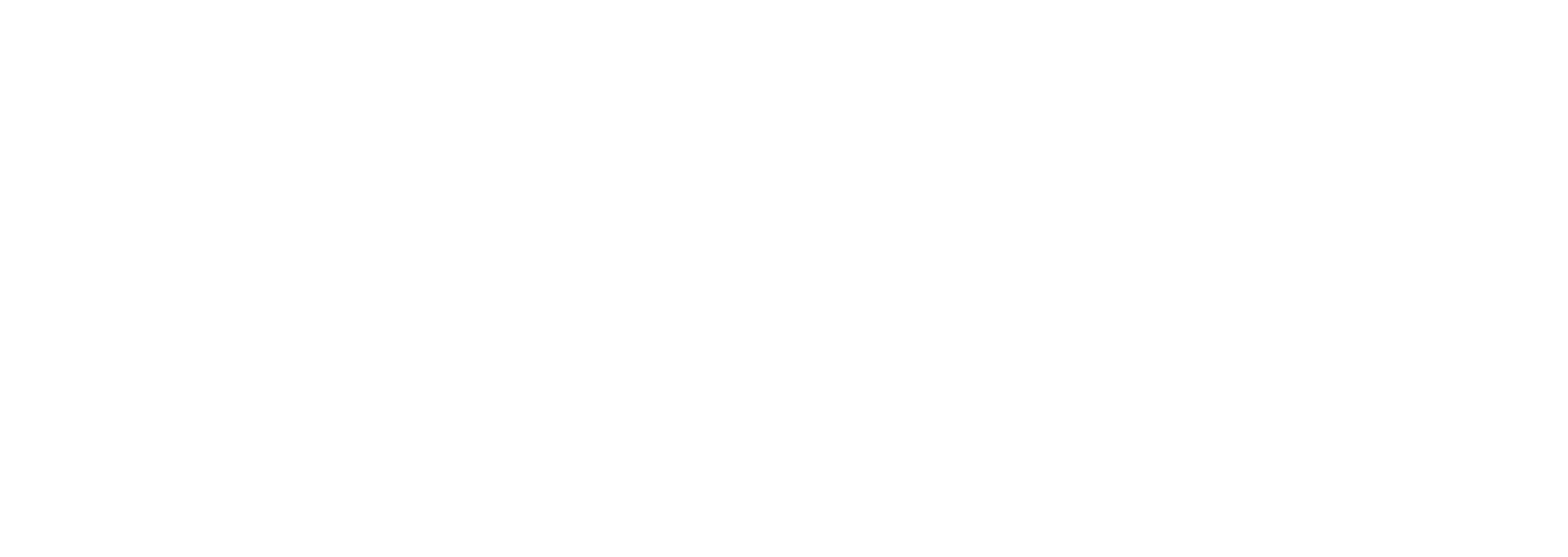 The National Trial Lawyers Top 100 logo