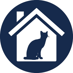Adopt a Cat