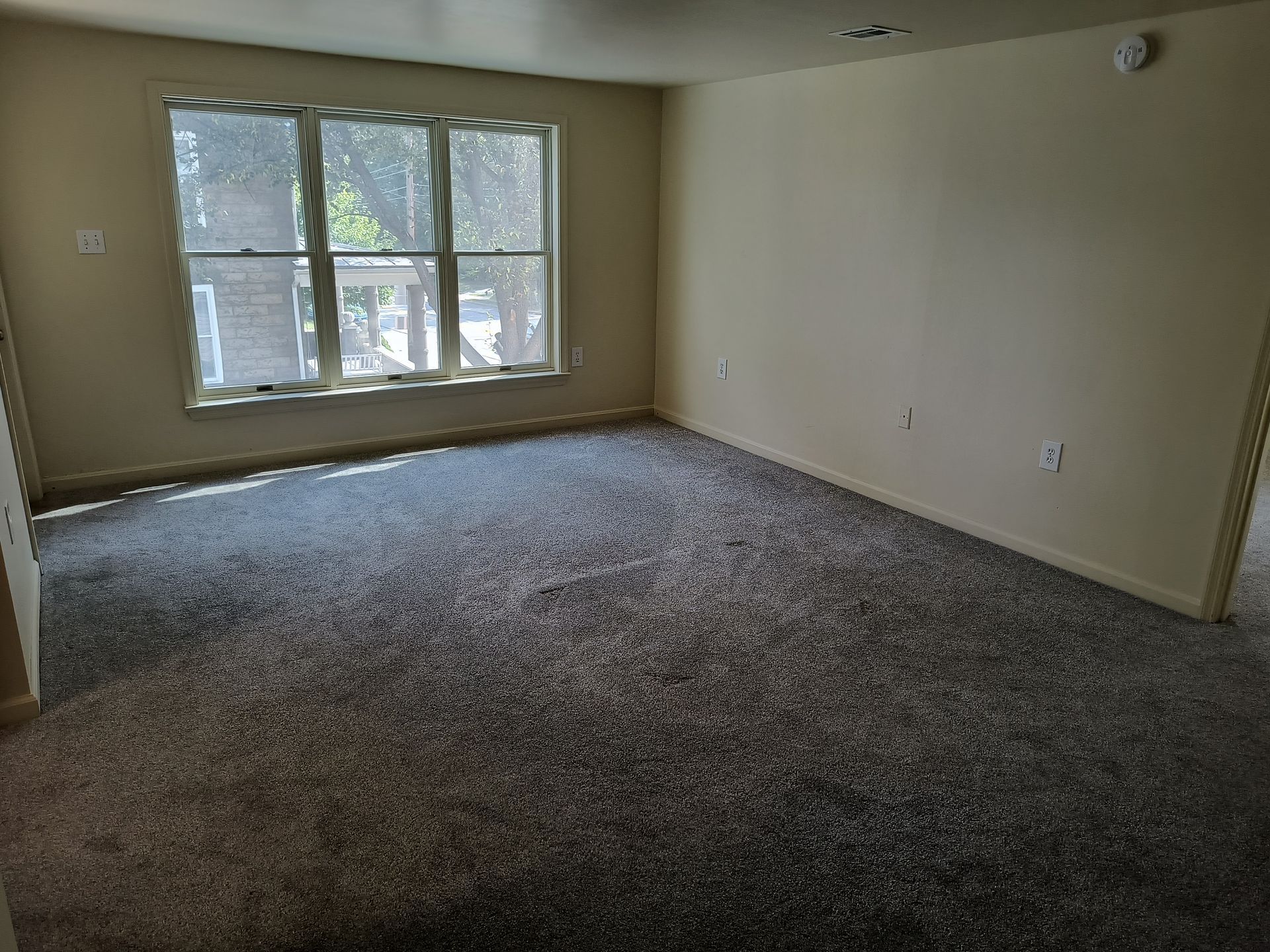 243 E Main-St Shiremanstown Living Room Photo #2