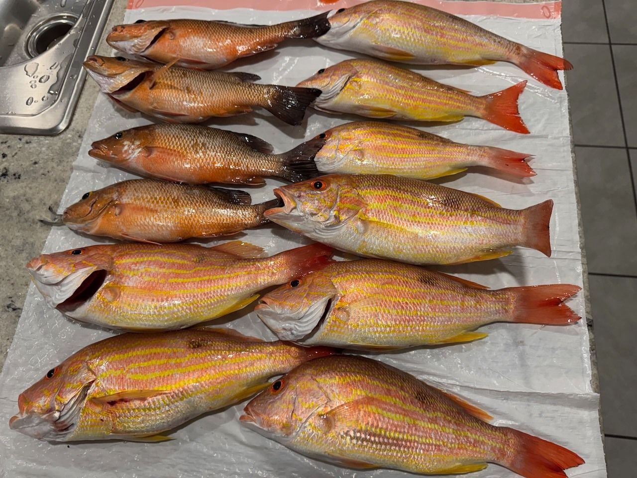 Several whole fish with golden-brown and silver scales laid on paper on a countertop.