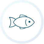 Blue outline of a fish inside a white and blue circle.