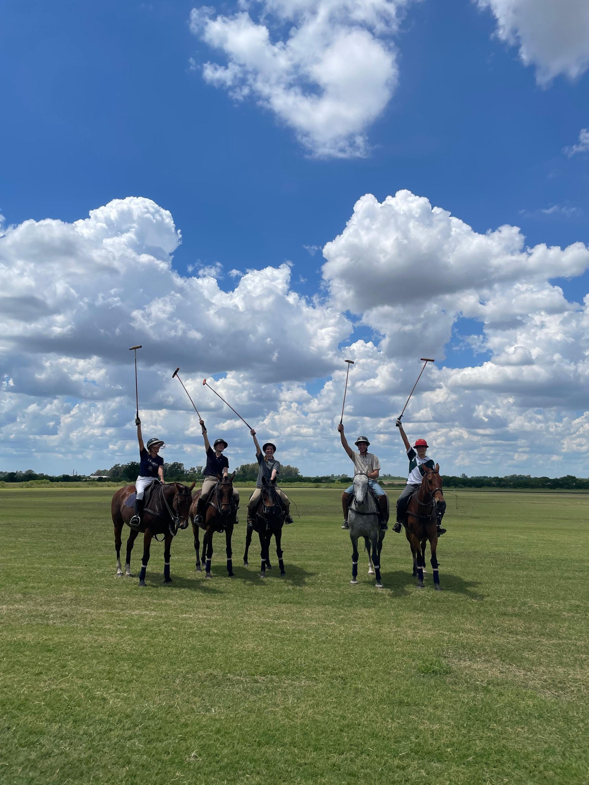 Five mounted polo players pose on a grassy field under a bright blue sky with clouds.