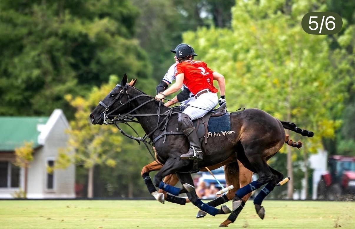 Horse and rider in red racing across a green field during a polo match
