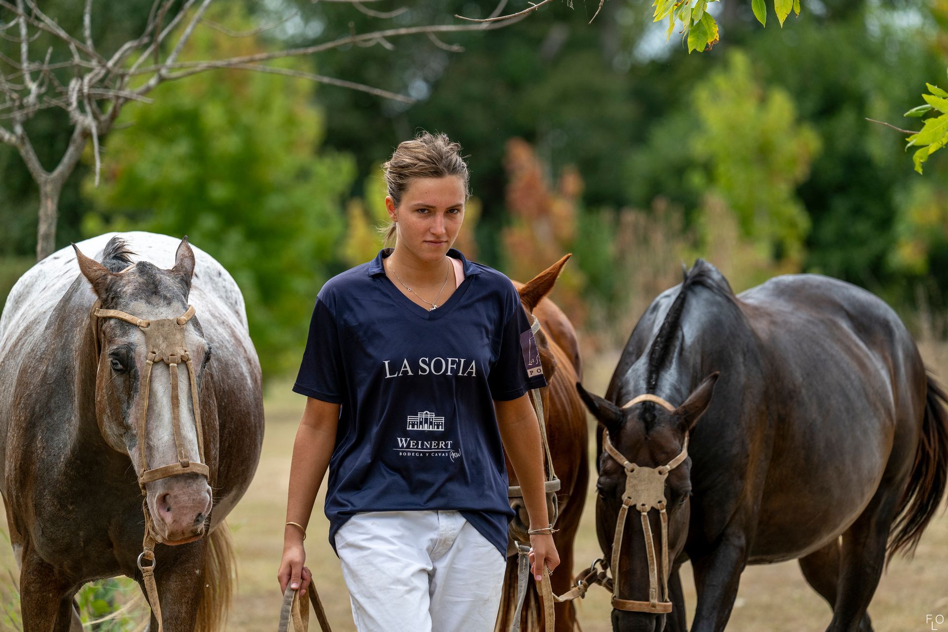 Person walking between two horses in a green outdoor setting, holding their leads