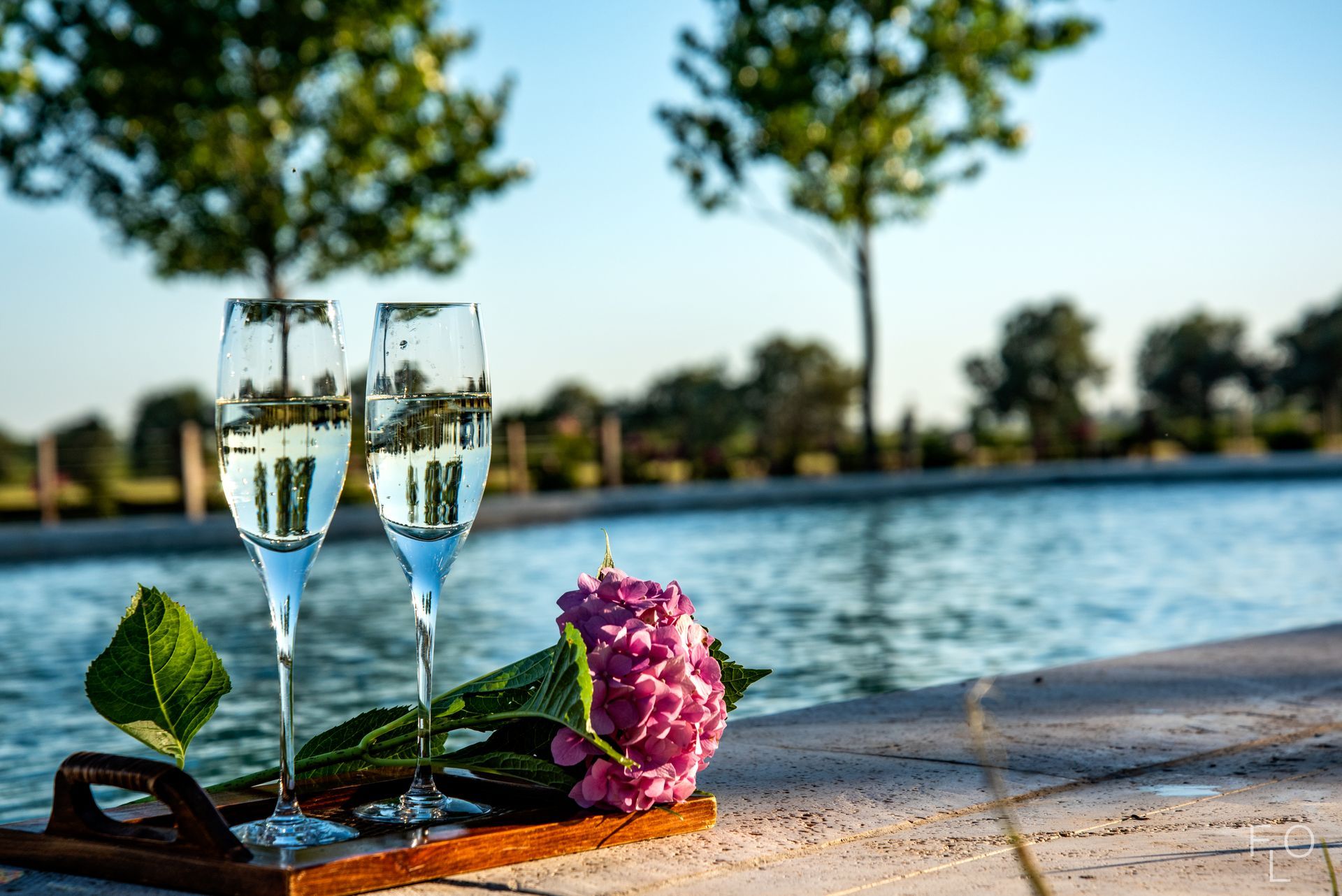 Two champagne flutes and a pink rose on a stone ledge by a lake at sunset