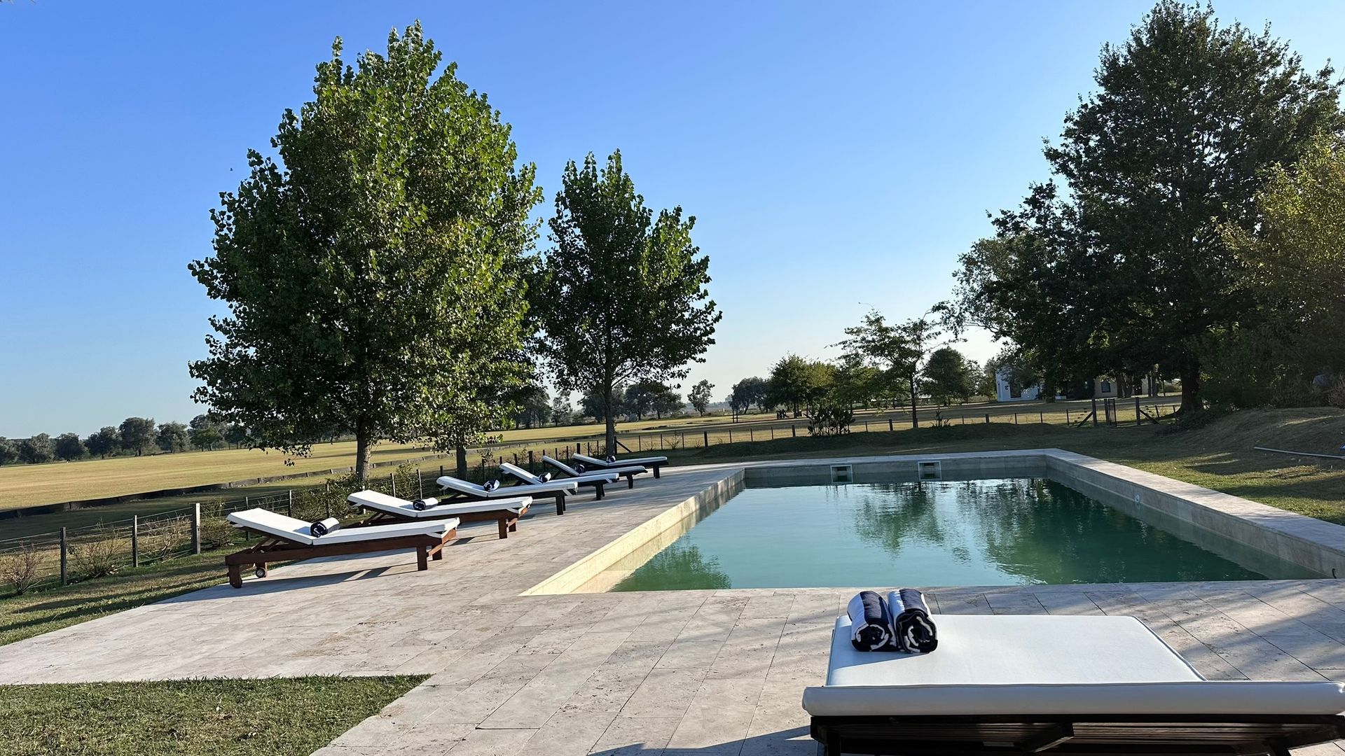 Backyard pool with lounge chairs, trees, and a paved patio under a clear blue sky