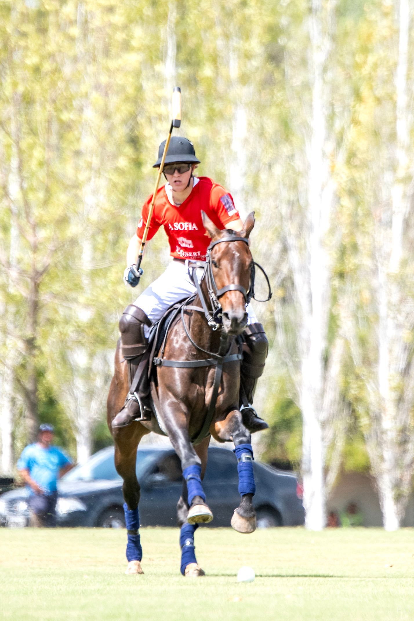 Polo player in red jersey riding a dark horse on a grassy field, with trees in the background.