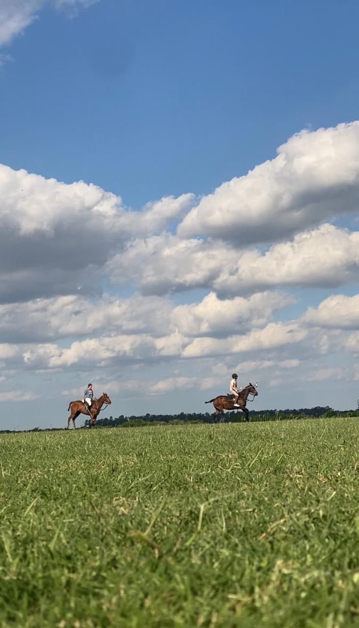 Two horseback riders on a grassy field beneath a cloudy blue sky