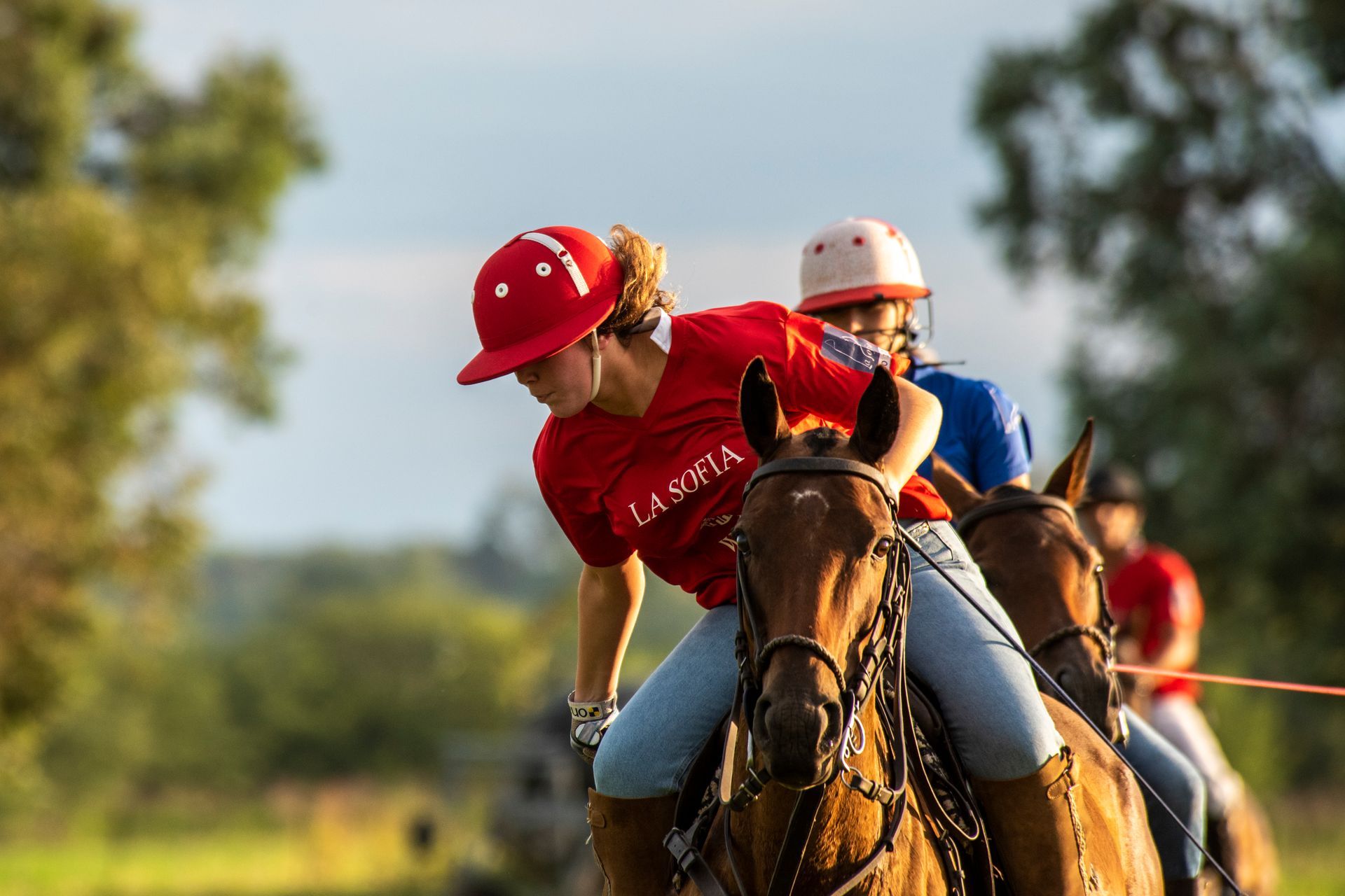Two polo players on horseback, one in a red shirt, riding on a sunny field with blurred trees behind.