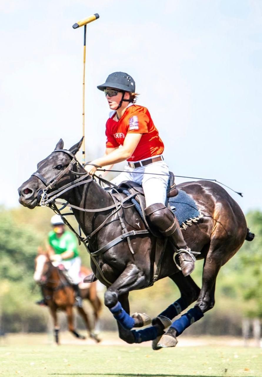 Polo player in red jersey riding a black horse mid-gallop on a grassy field, mallet raised