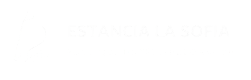 Mostly blank white image with faint, unreadable text near the center.