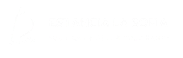 Mostly blank white image with faint, unreadable text near the center.