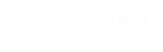 Mostly blank white image with faint, unreadable text near the center.