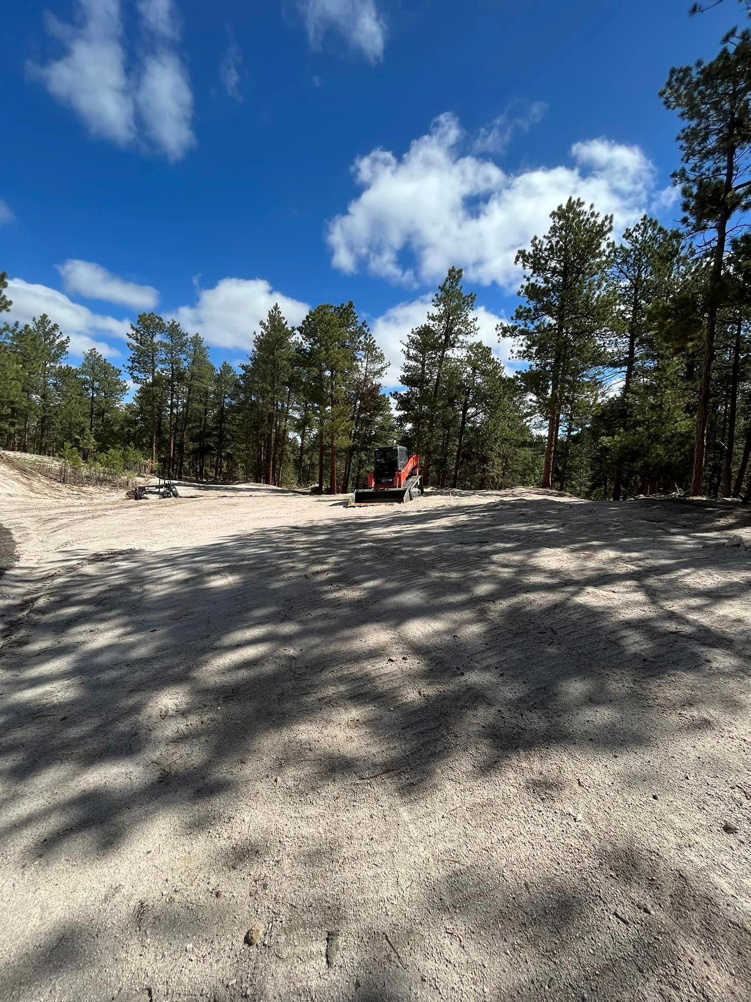 A dirt road in the middle of a forest with trees in the background.