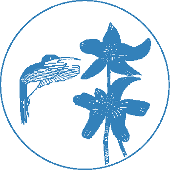 Blue hummingbird hovering near blue flowers in a white circle.
