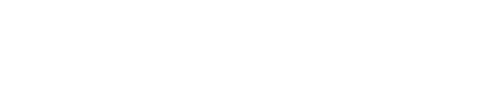 Company Logo | Temis Motorsports