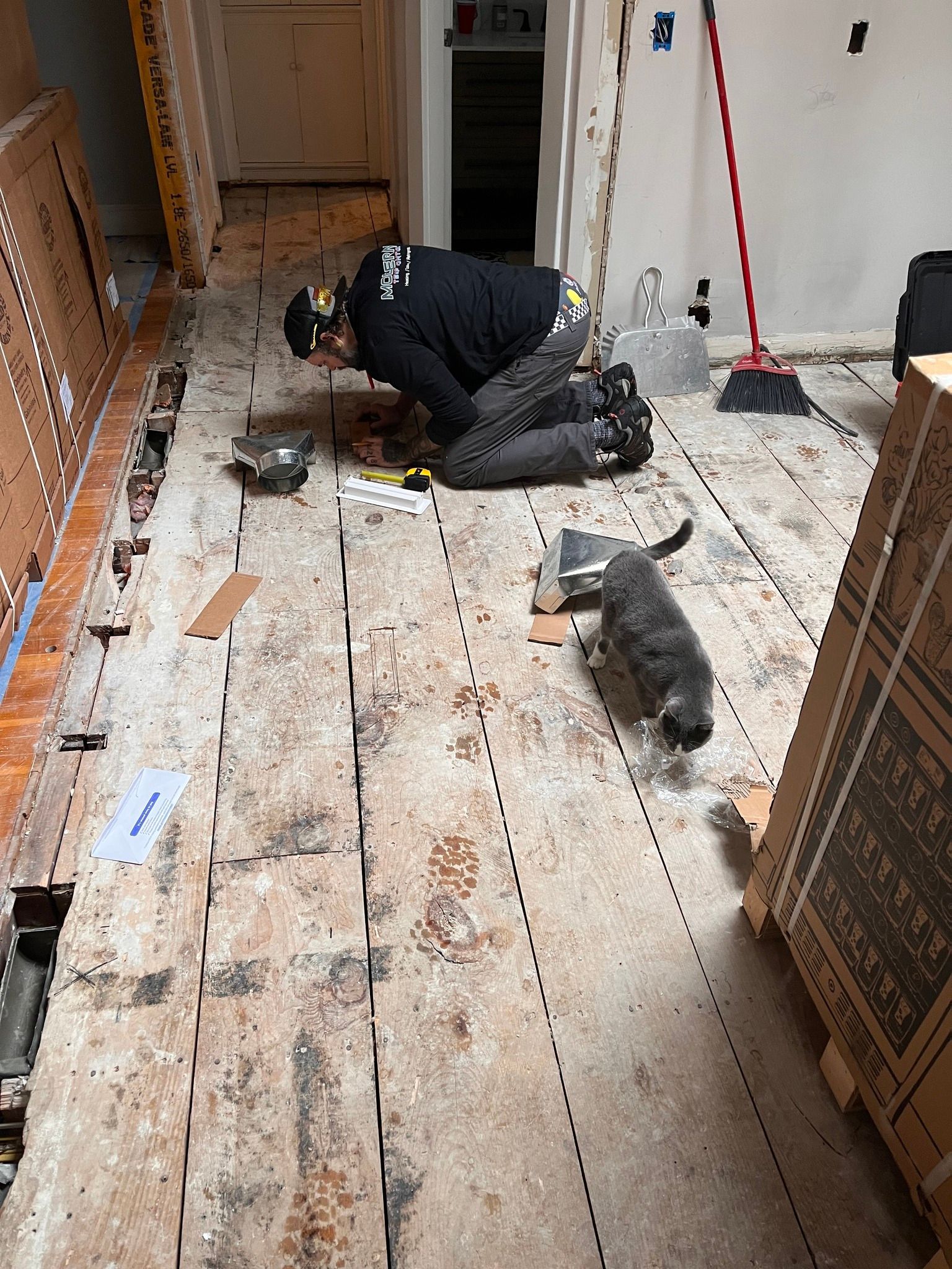 A man is kneeling on a wooden floor next to a cat.