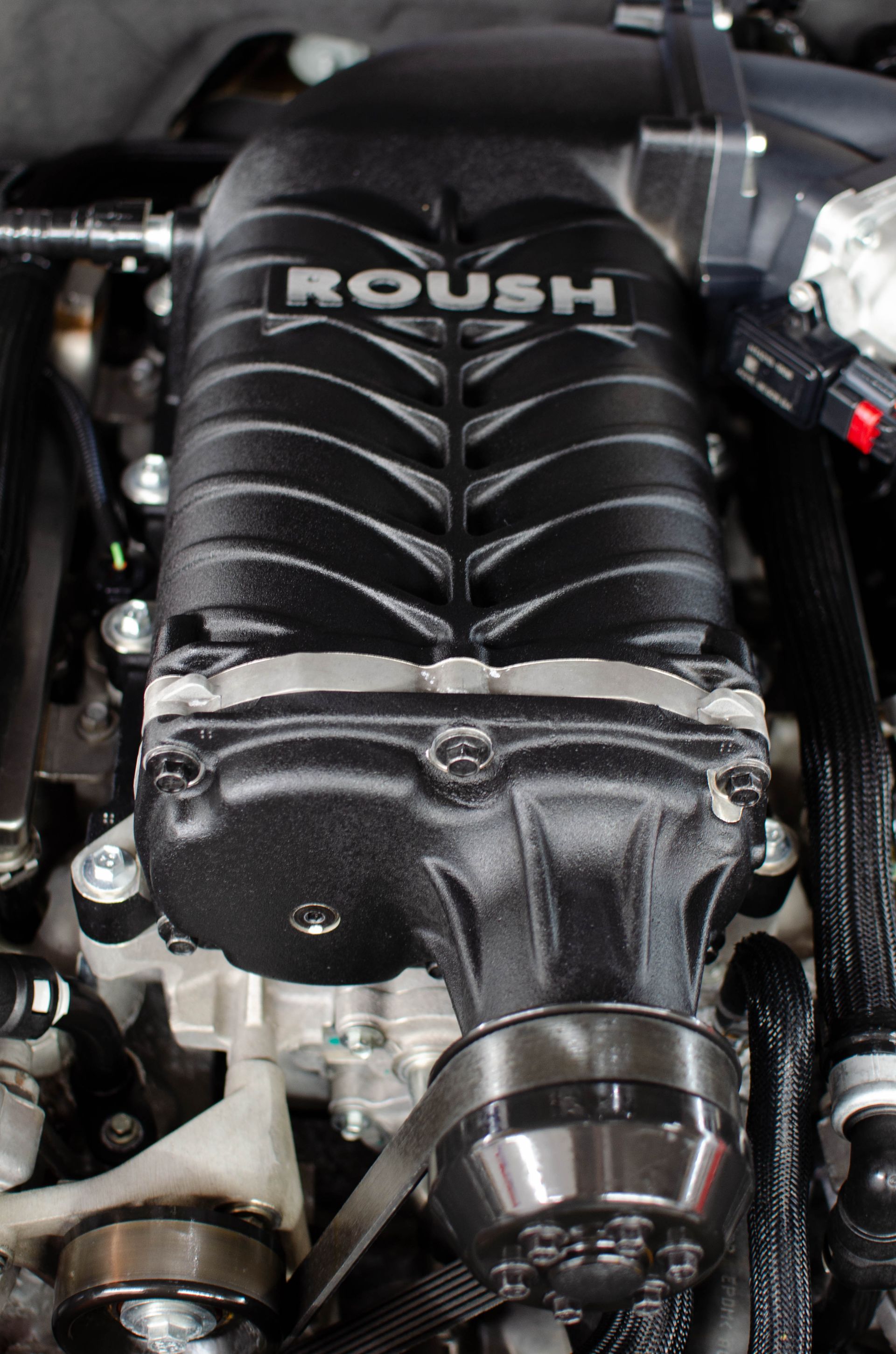 Close-up of a Roush supercharged engine with black housing and pulleys visible.