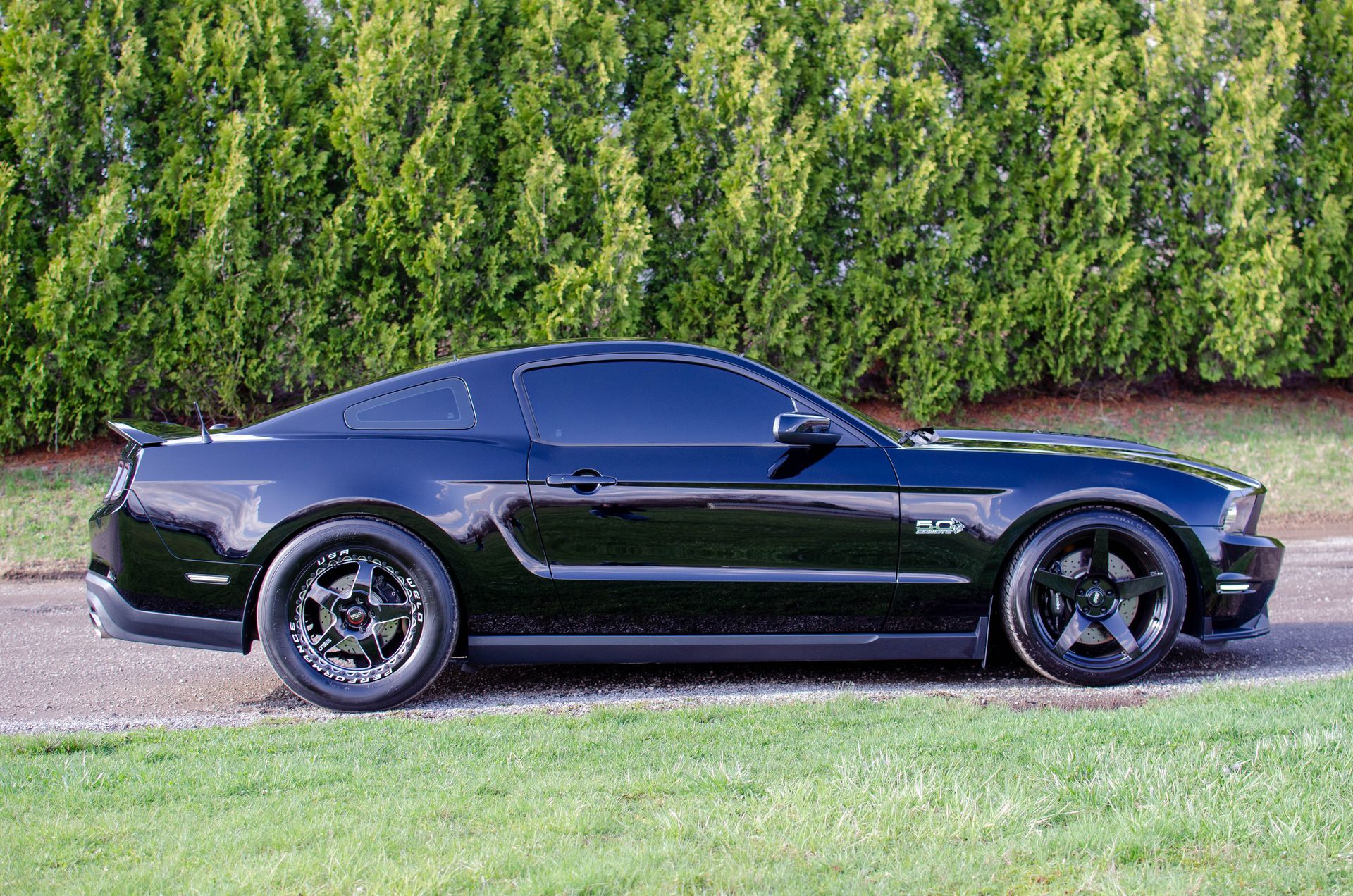 Black sports coupe parked on grass in front of tall green hedges