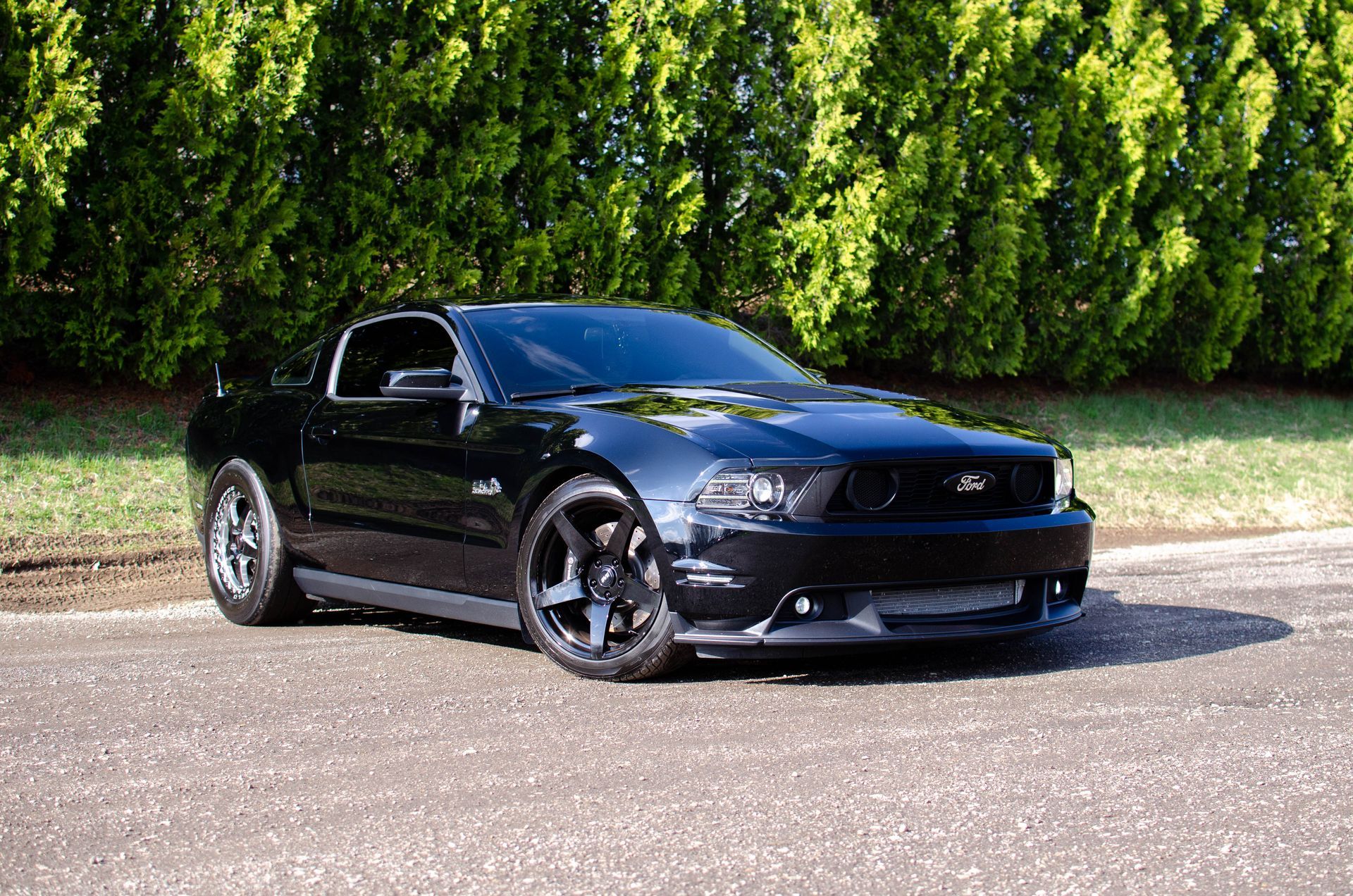 Black Ford Mustang parked on pavement in front of green trees