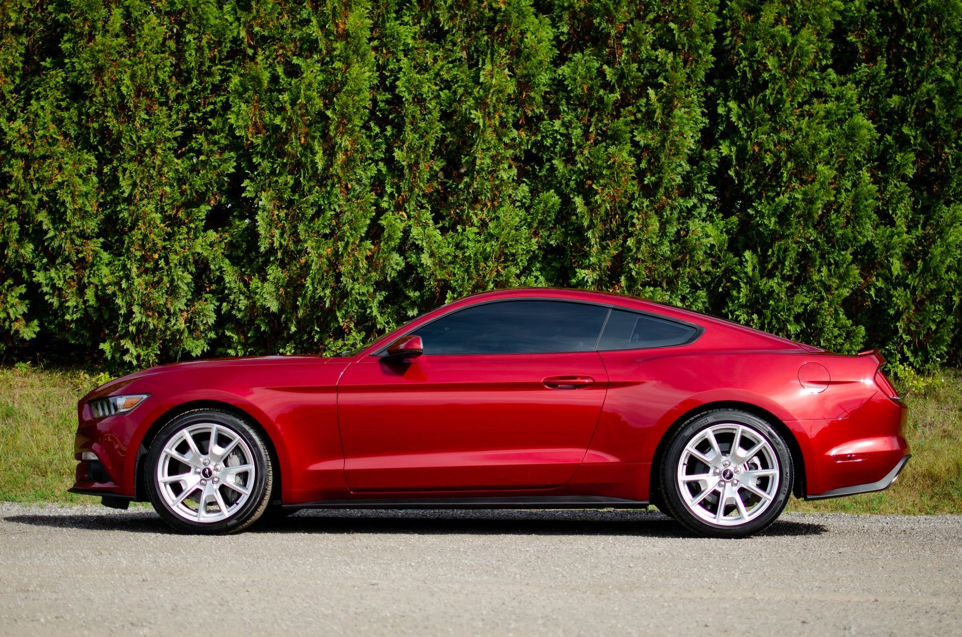 Ford Mustang with full body paint protection film and racing stripes by Keystone Detail, Erie, PA