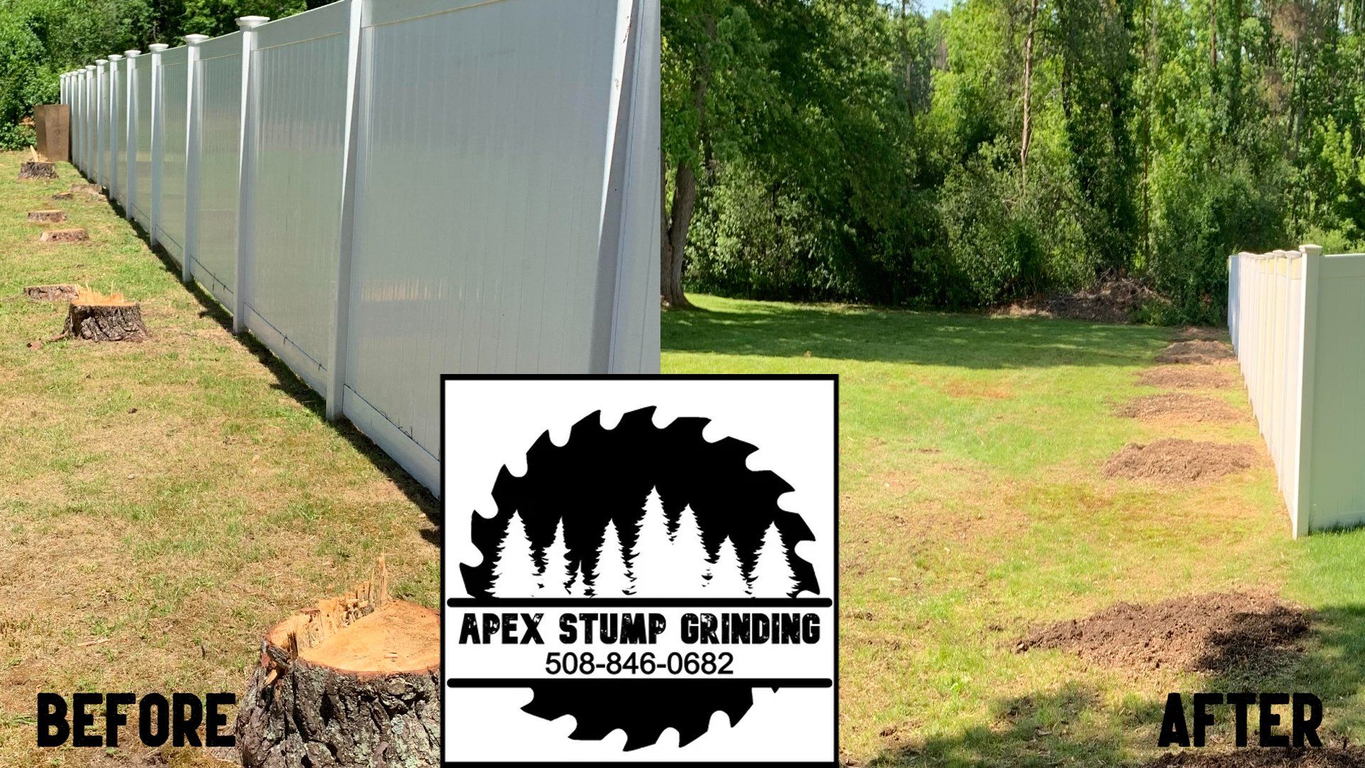 Before and After of Stump Grinding Service in Bridgewater
