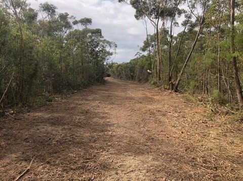 A dirt road with green trees surrounding it— Total Vegetation Management in Braemar, NSW