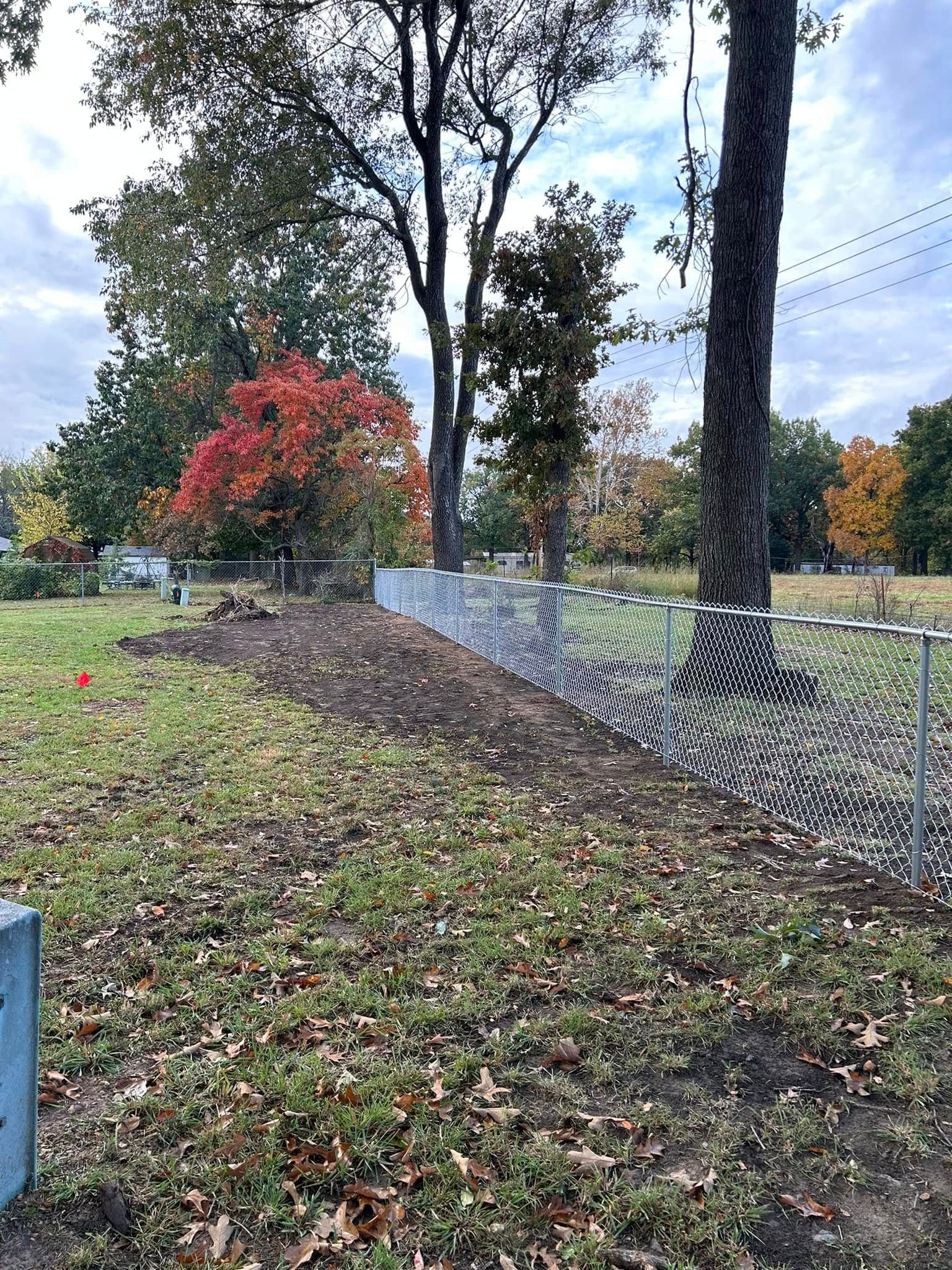 Wooded yard with chain-link fence, tall trees, and a red-leaved shrub in autumn.