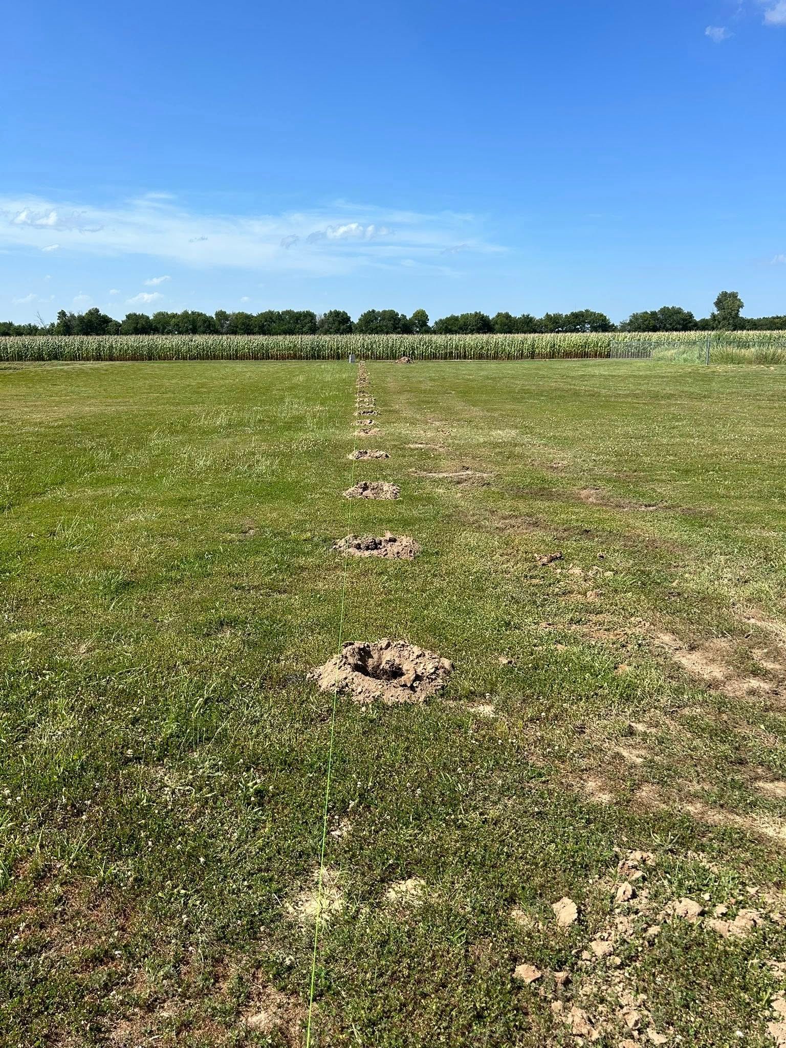 Dry grassy field with a line of small dirt mounds stretching toward a tree line under a blue sky