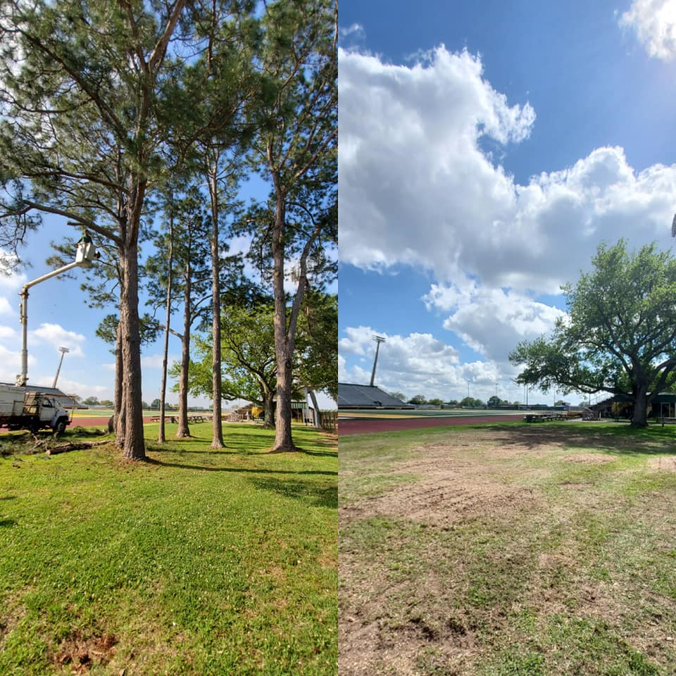 Land Clearing — Matthews, LA — Andy’s Tree Service