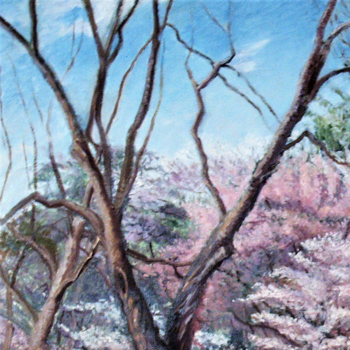 Park Bench - View 4