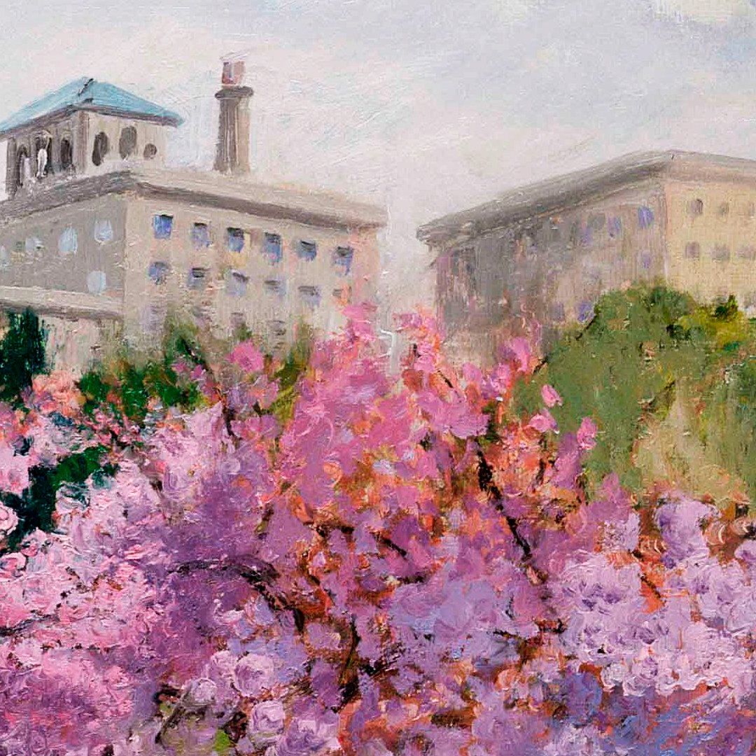 Central Park Spring - View 5