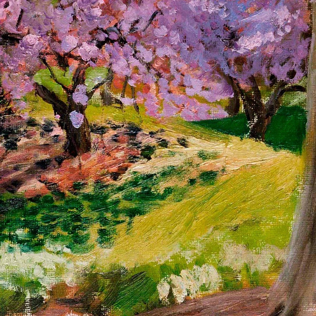 Central Park Spring - View 6
