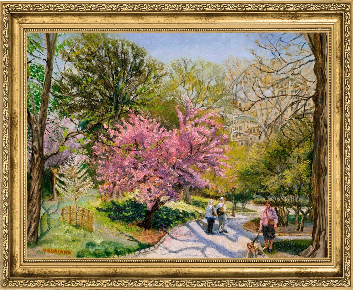 Cherry Blossom - View 8