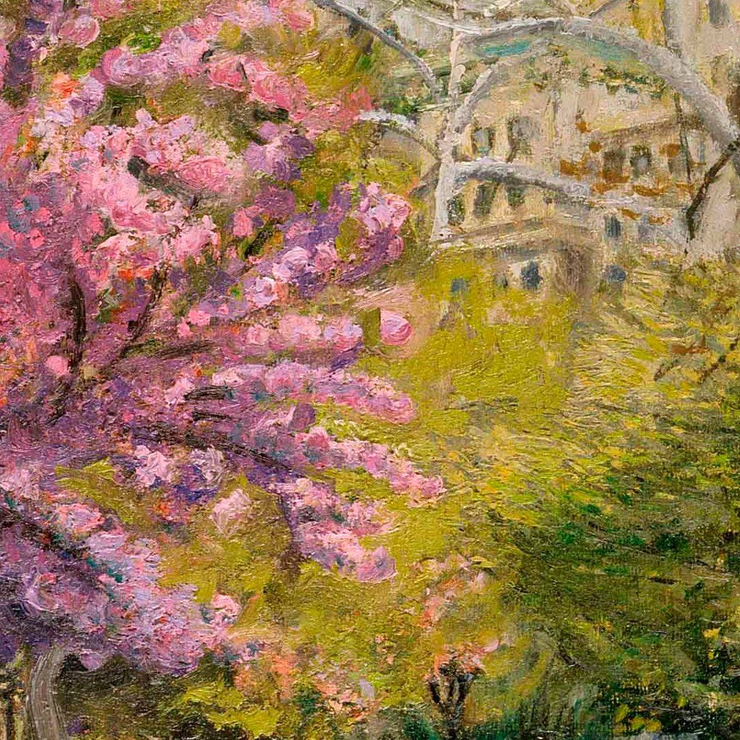 Cherry Blossom - View 4