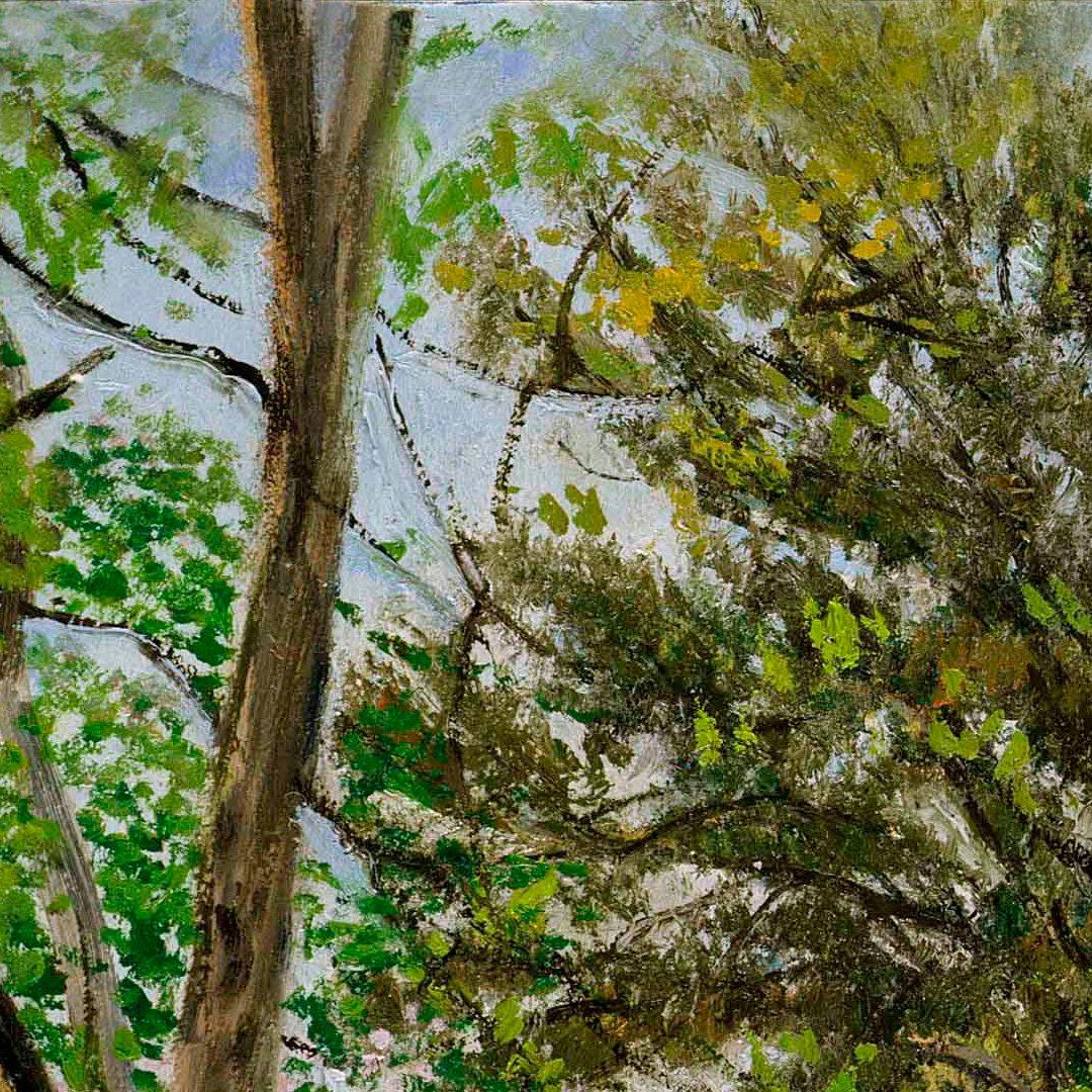 Cherry Blossom - View 6