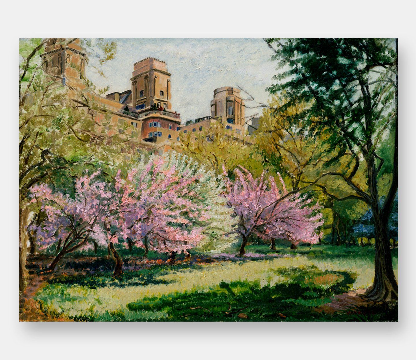 John Varriano, American Artist Oil Painting: Spring Blossom