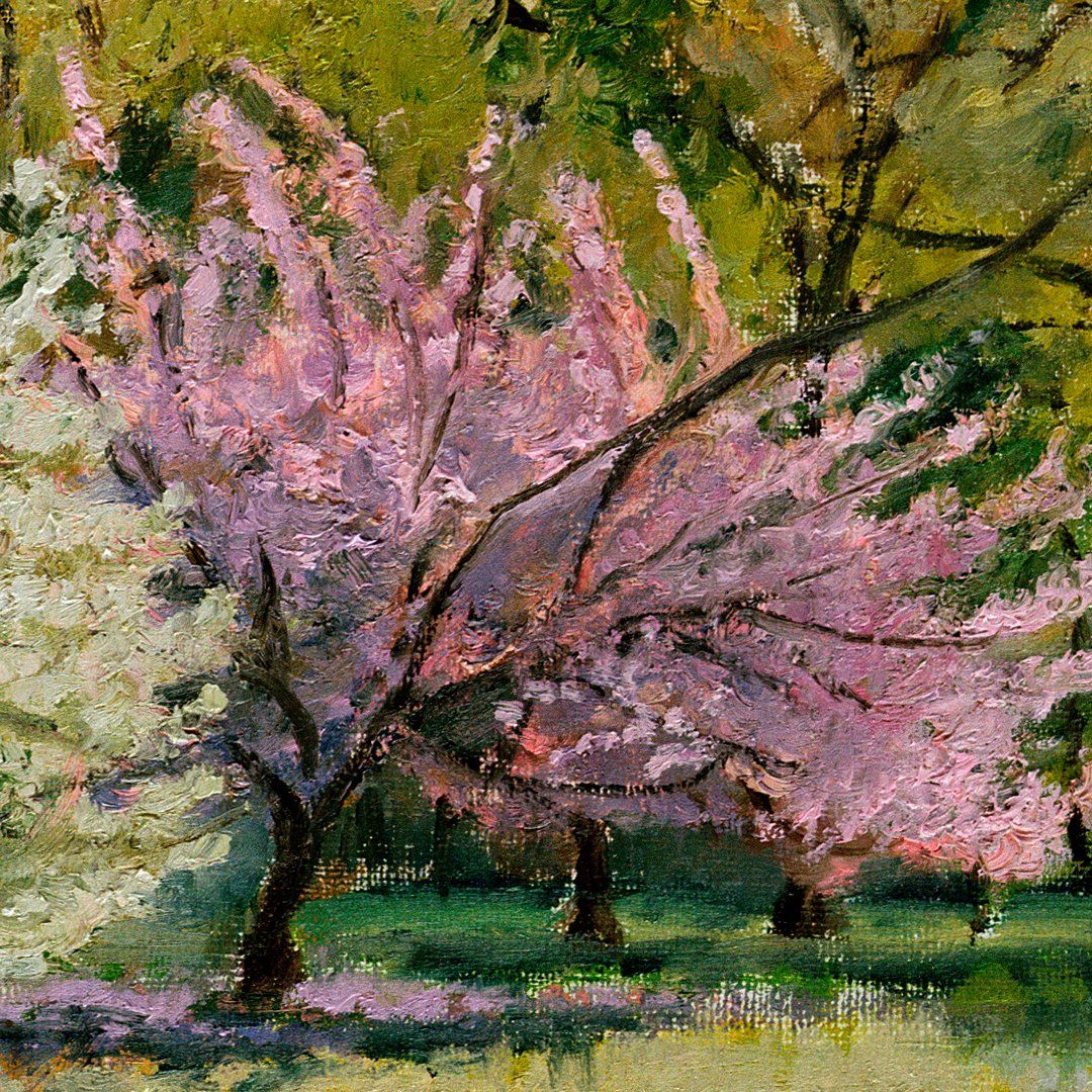 Spring Blossom - View 3