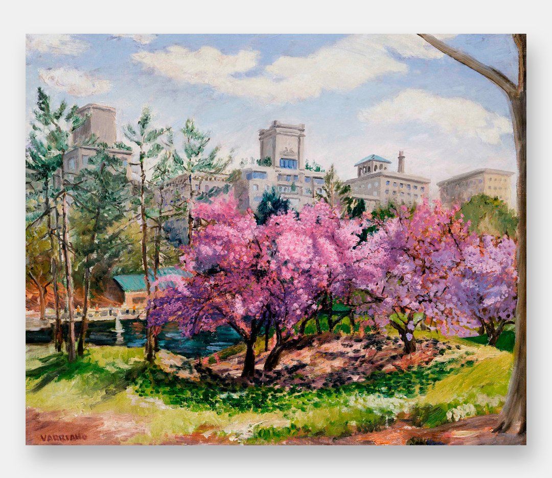 John Varriano, American Artist Oil Painting: Central Park Spring