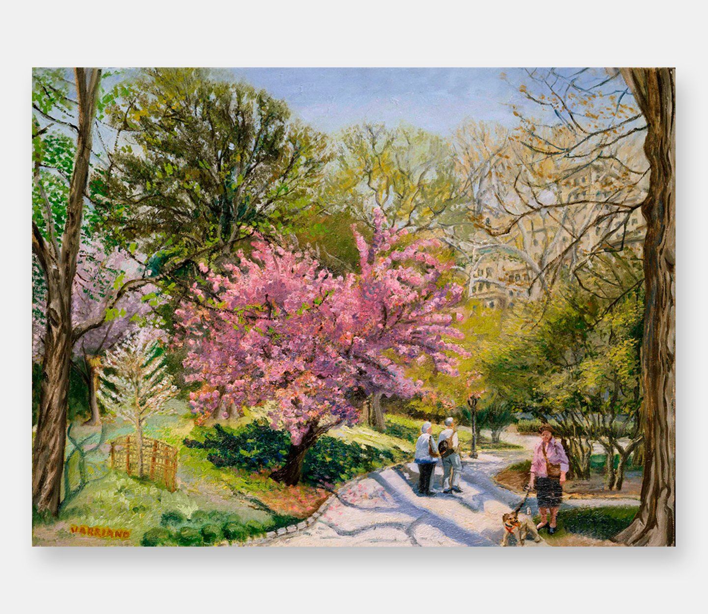 John Varriano, American Artist Oil Painting: Cherry Blossom