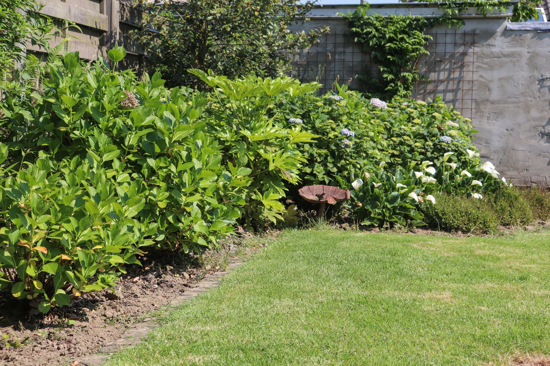 Plantenborder Oude Polderstraat 48