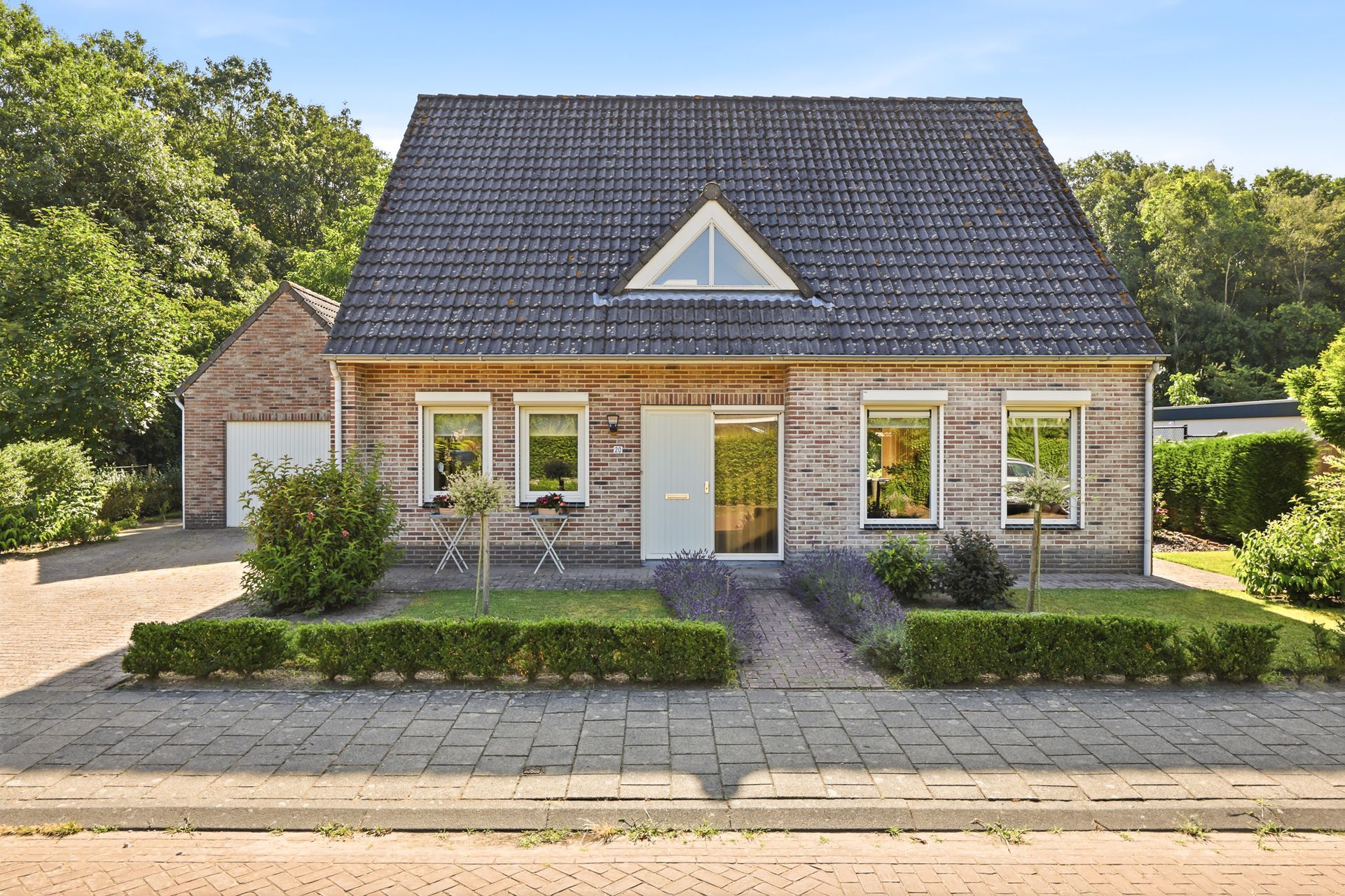 Koekoeksbloem 20 Hulst