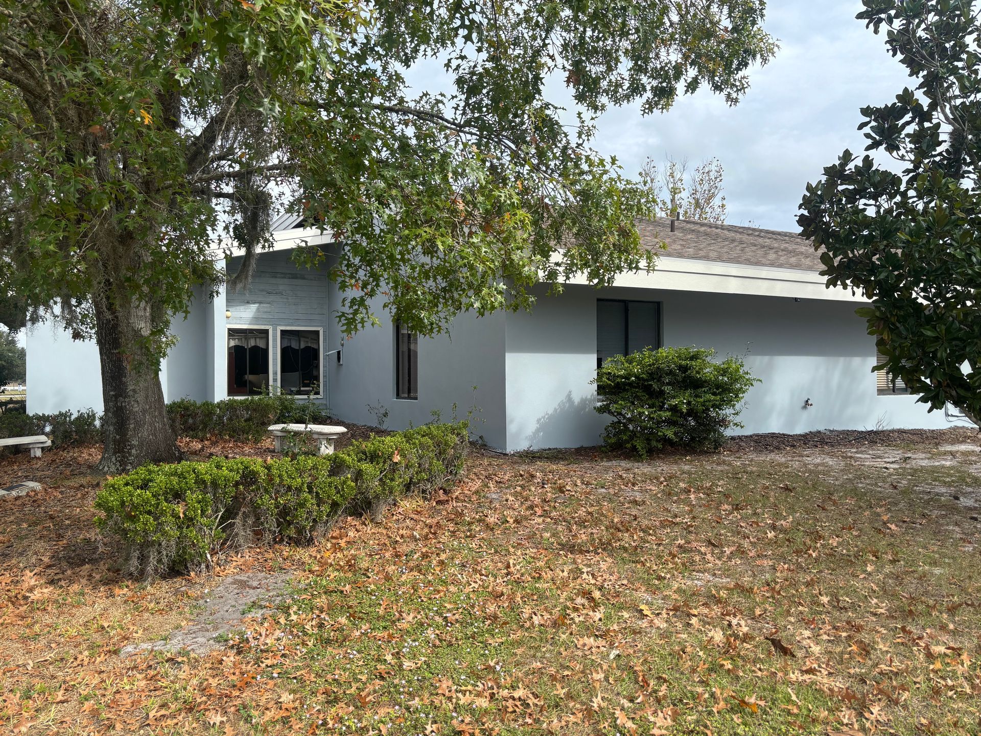 Light blue house with trees, bushes, and dry leaves on the ground.