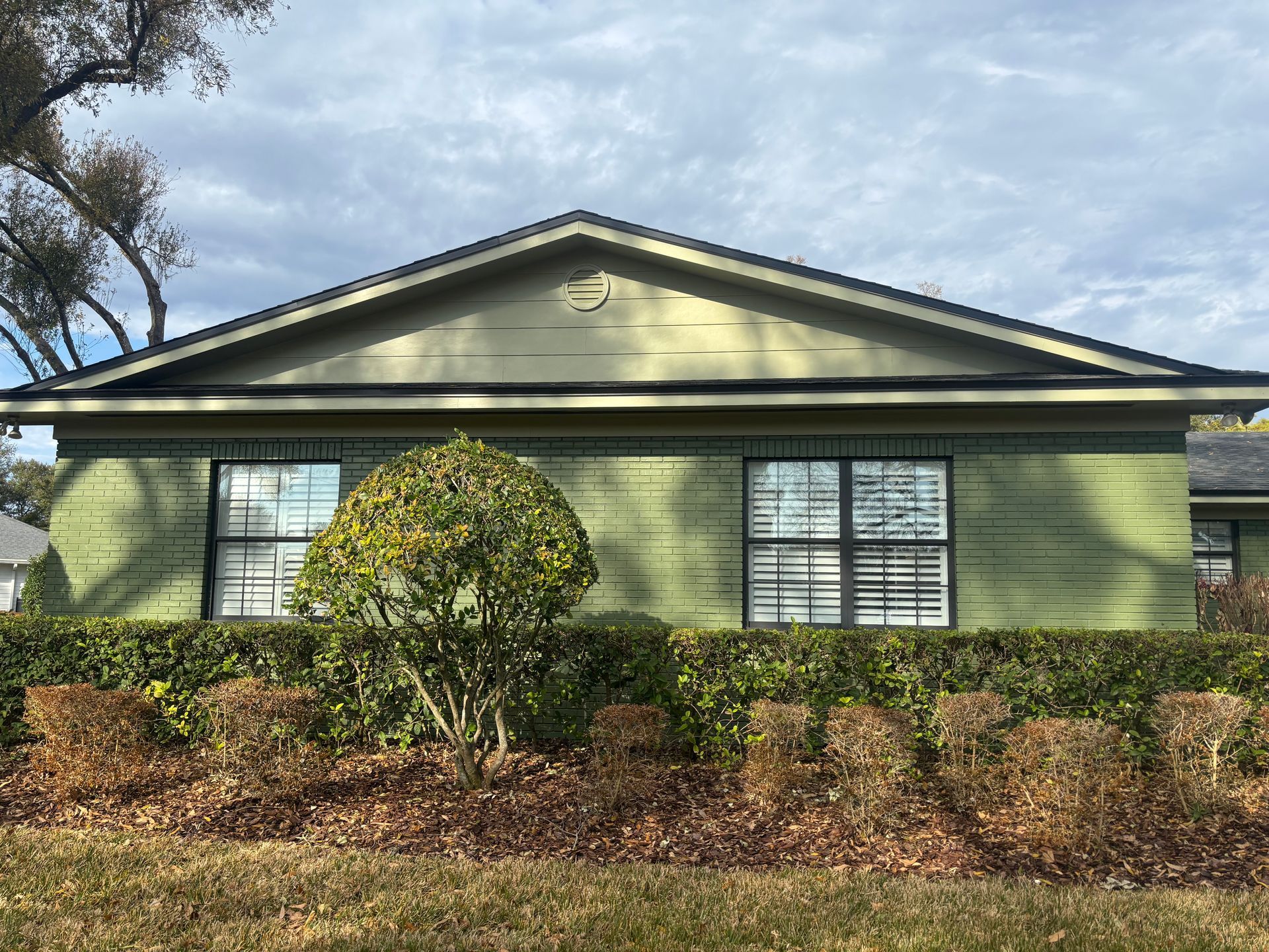 Single-story green house with a front shrub under a cloudy sky