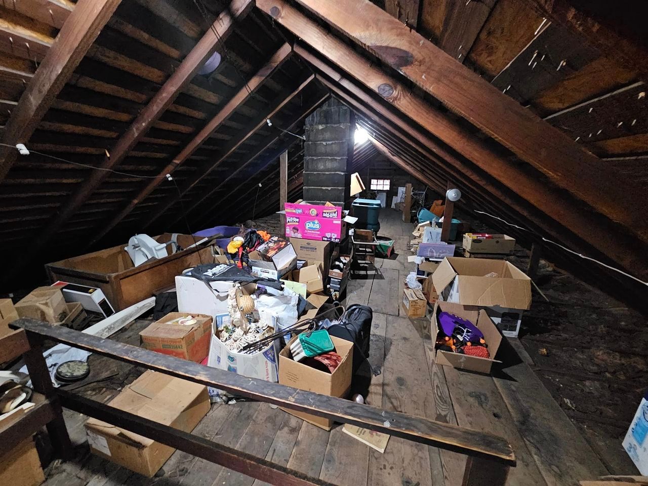 Thanksgiving Junk Removal Northwest Ohio | Gentle Hippo