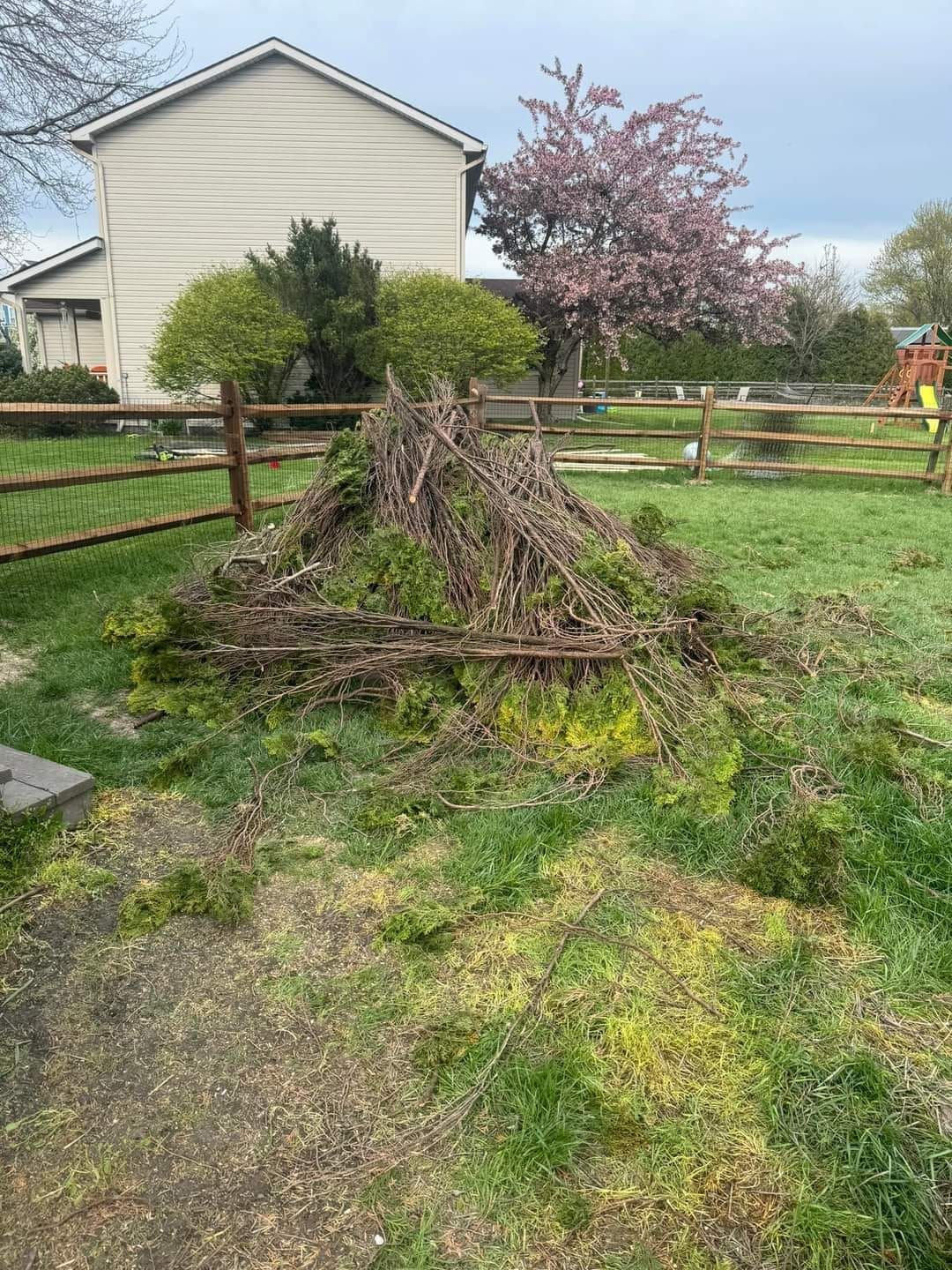 yard waste removal 