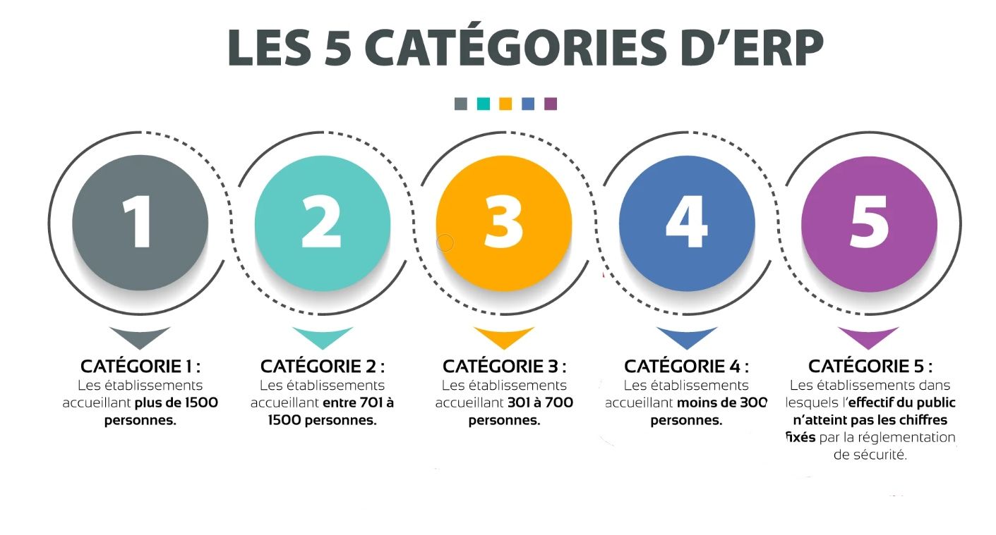 Cinq catégories d'ERP